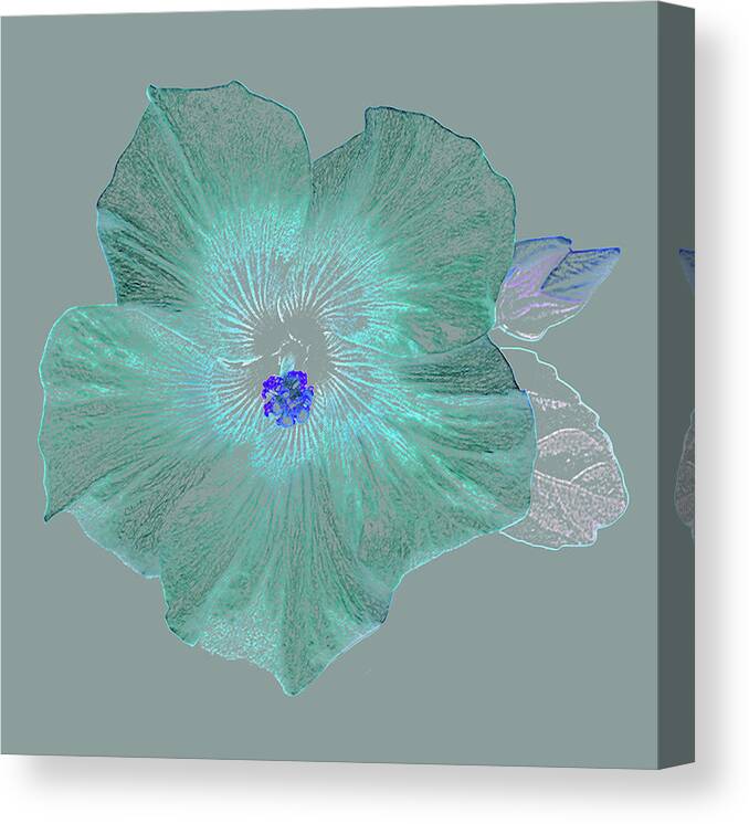 Haslemere Canvas Print featuring the photograph Fantasy Hibiscus Flower As Coloured by Rosemary Calvert