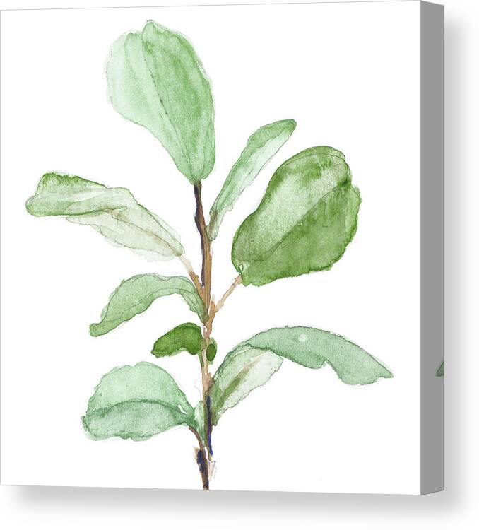 Fiddle Canvas Print featuring the painting Fiddle Fig Leaf Plant II by Lanie Loreth