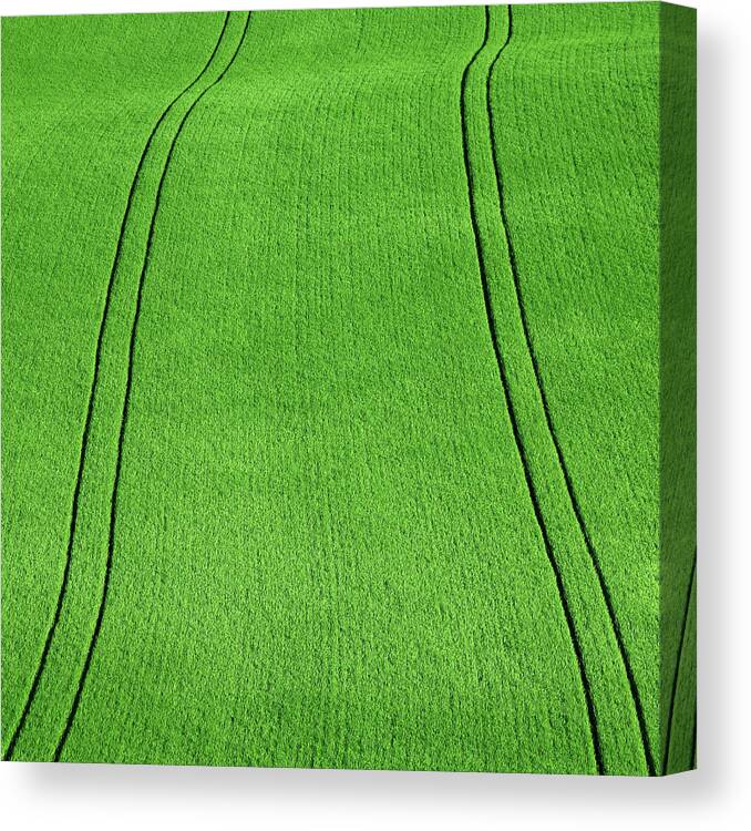 Outdoors Canvas Print featuring the photograph Fields Of Green by Paul Baggaley