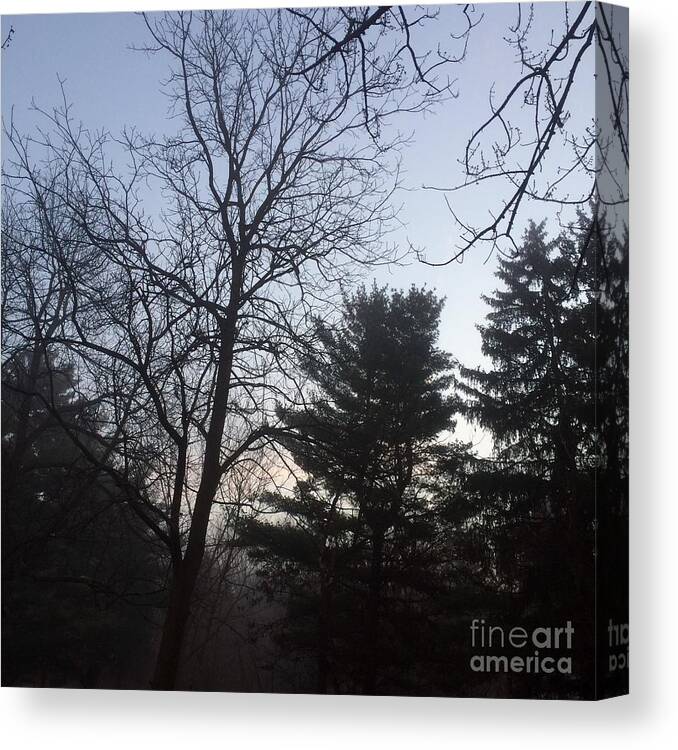 Nature Canvas Print featuring the photograph First Light and Fog by Frank J Casella