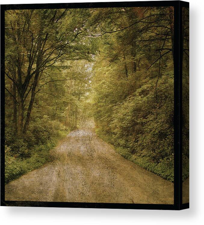 Dirt Forest Road Canvas Print featuring the digital art Flannery Fork Road No. 1 by John W. Golden