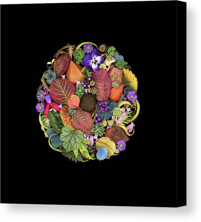 Flowers Canvas Print featuring the photograph Floral collage 04 by Sandra R Schulze Photography