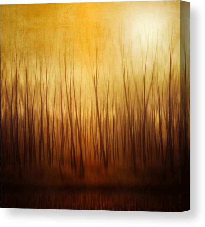 Dawn Canvas Print featuring the photograph Forest by Philippe Sainte-laudy Photography