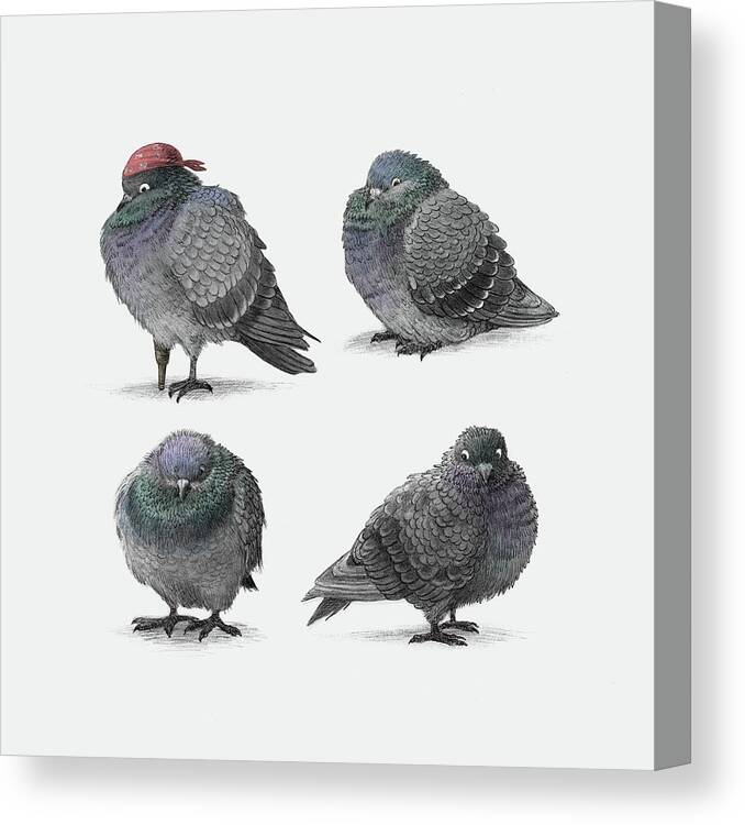 Pigeon Canvas Print featuring the drawing Four Pigeons by Eric Fan
