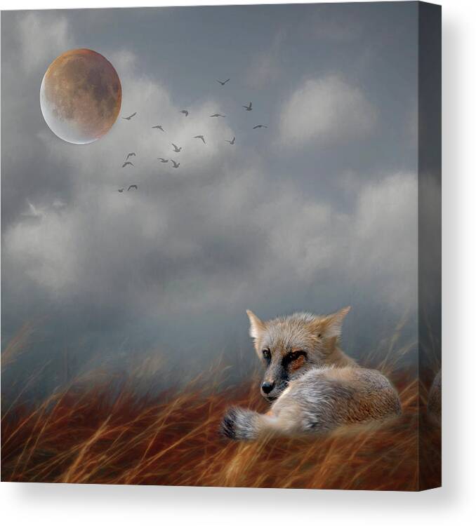 Fox Canvas Print featuring the photograph Fox in Moonlight Square by Rebecca Cozart