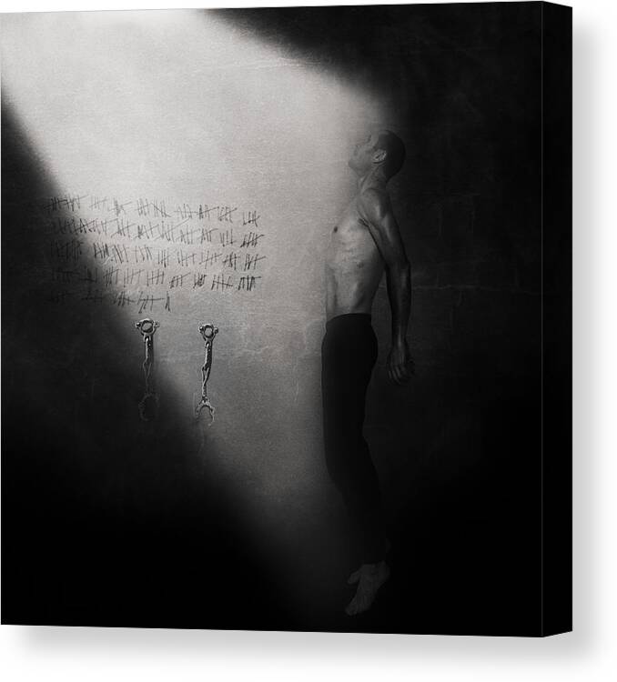Conceptual Canvas Print featuring the photograph Freedom by Christophe Cauvin