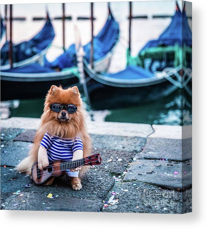 Dog Canvas Print featuring the photograph Funny dog at the carnival in Venice by Lyl Dil Creations