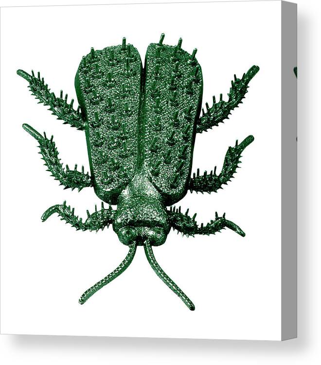 Animal Canvas Print featuring the drawing Green Plastic Bug by CSA Images