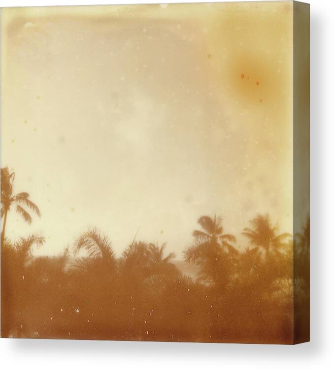 Photography Canvas Print featuring the photograph Hali'a Aloha Vii by Jason Johnson