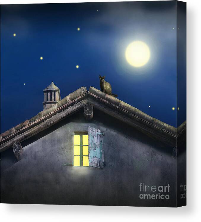 Chimney Canvas Print featuring the photograph Illustrative Detail Of A Roof by Valentina Photos