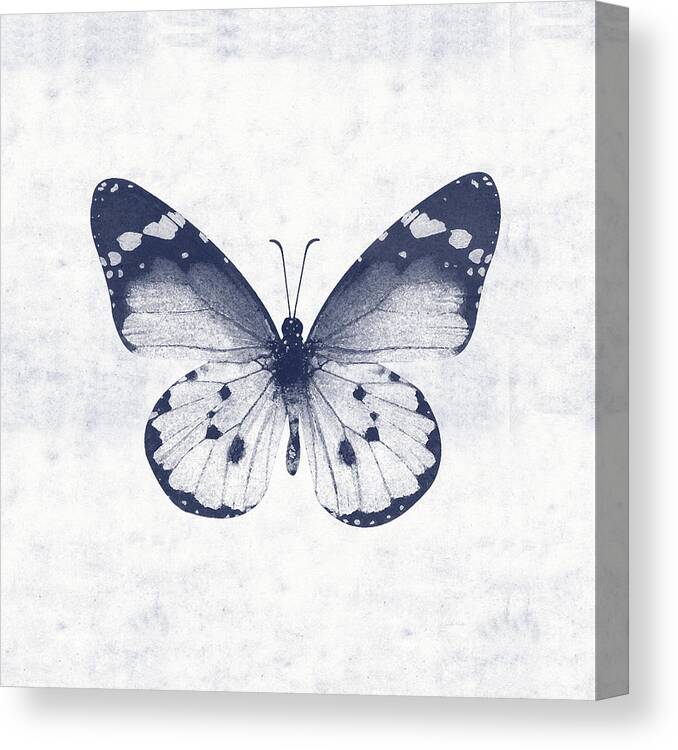 Butterfly Canvas Print featuring the mixed media Indigo and White Butterfly 1- Art by Linda Woods by Linda Woods