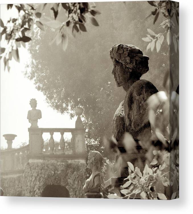 Photography Canvas Print featuring the photograph It1905 - Tuscany Viii by Alan Blaustein