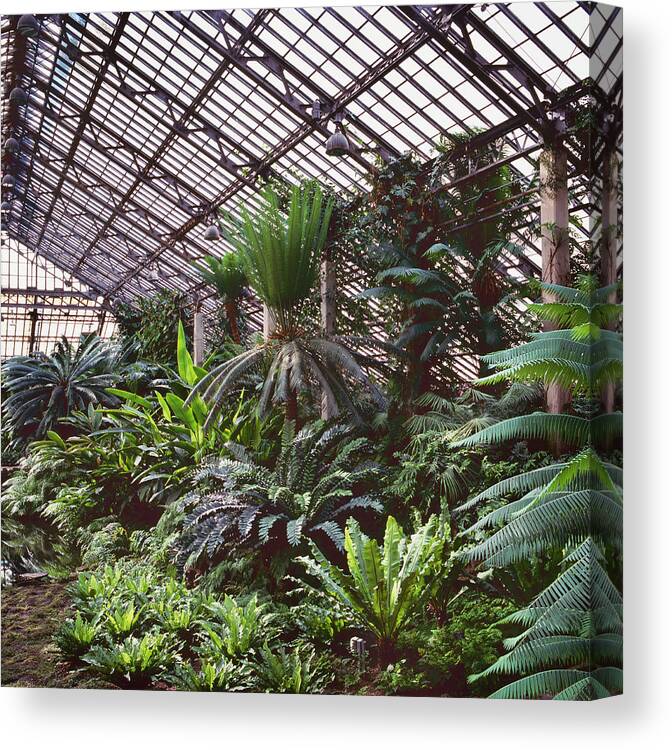 Tropical Climate Canvas Print featuring the photograph Jen Jenson Conservatory by Richard Felber
