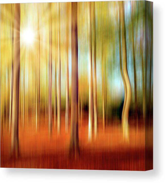 Forest Canvas Print featuring the photograph Just a Ripple by Philippe Sainte-Laudy