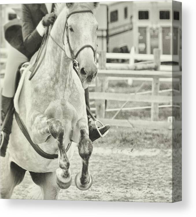 Horse Canvas Print featuring the photograph Just Jumping by Dressage Design