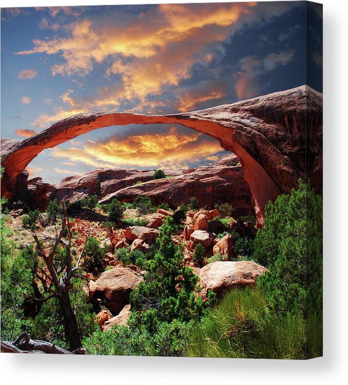 Scenics Canvas Print featuring the photograph Landscape Arch by Moosebitedesign
