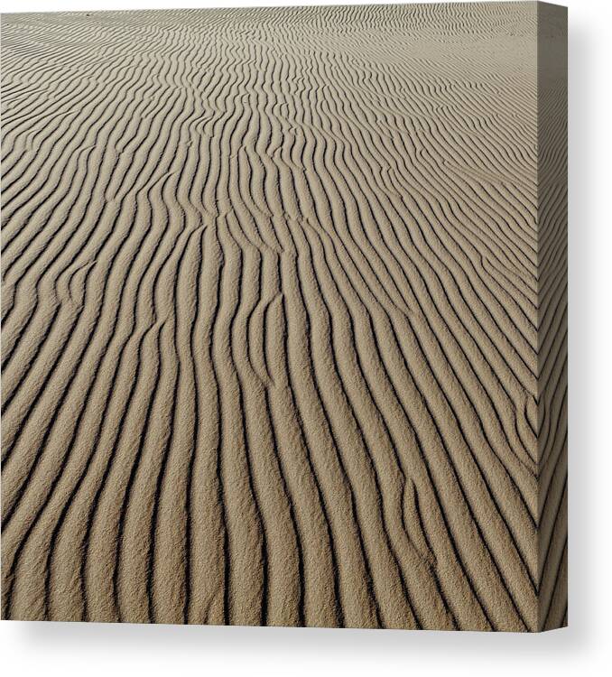 Sand Dune Canvas Print featuring the photograph Landscape Of Sand Dunes by Julio Lopez Saguar