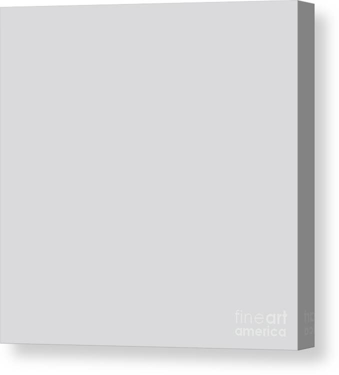 Gray Canvas Print featuring the digital art Light Gray Grey by Delynn Addams for Interior Home Decor by Delynn Addams