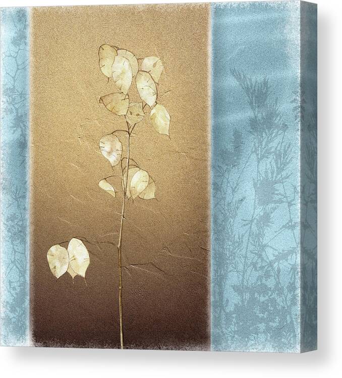 Leaves Canvas Print featuring the painting Lunaria I by Kory Fluckiger