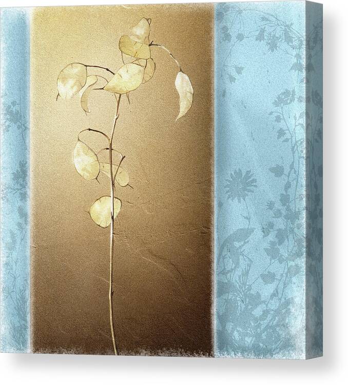 Leaves Canvas Print featuring the painting Lunaria II by Kory Fluckiger