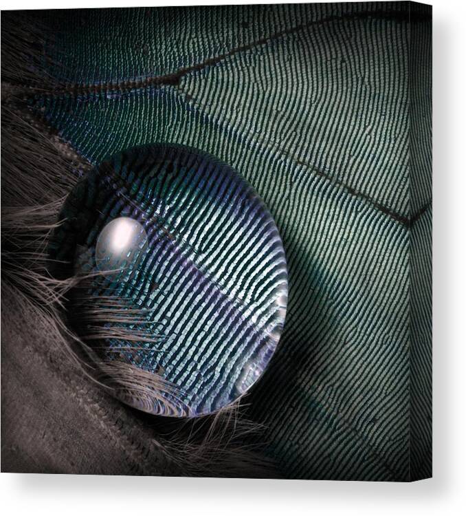 Abstract Canvas Print featuring the photograph Magnify by Jimmy Hoffman