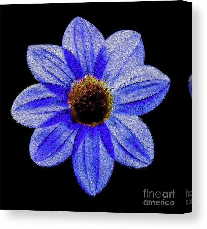 Floral Canvas Print featuring the digital art Midnight Blues by Kenneth Montgomery