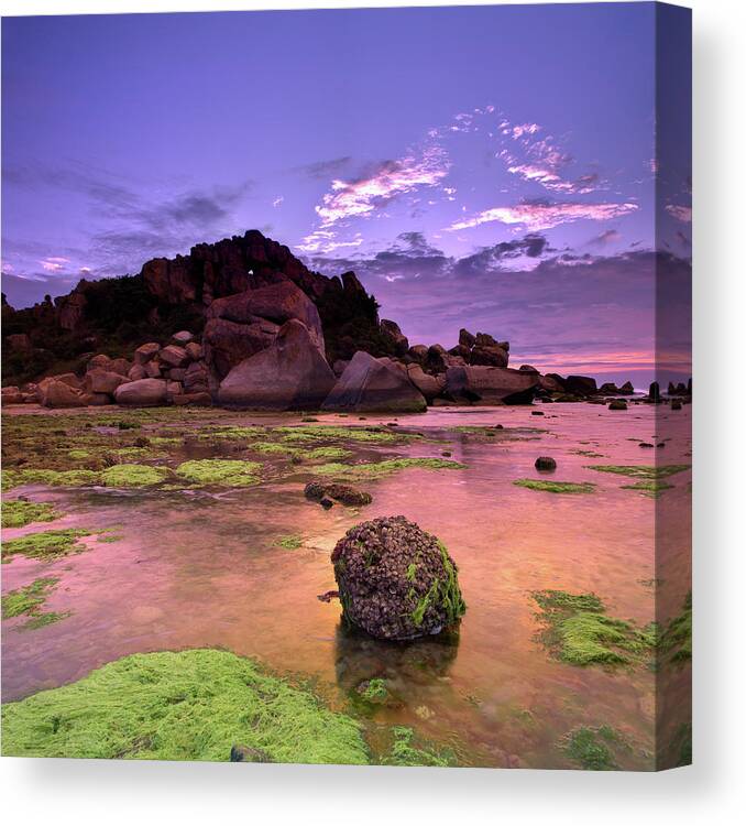 Scenics Canvas Print featuring the photograph Moss Covered Rocks by Andreluu