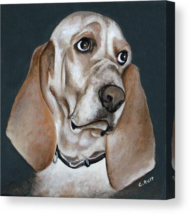 My Dog George Canvas Print Canvas Art By Carol J Rupp