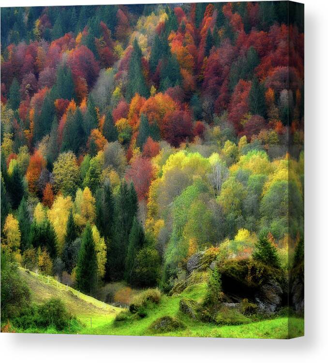 Autumn Canvas Print featuring the photograph Nature Palette by Philippe Sainte-Laudy