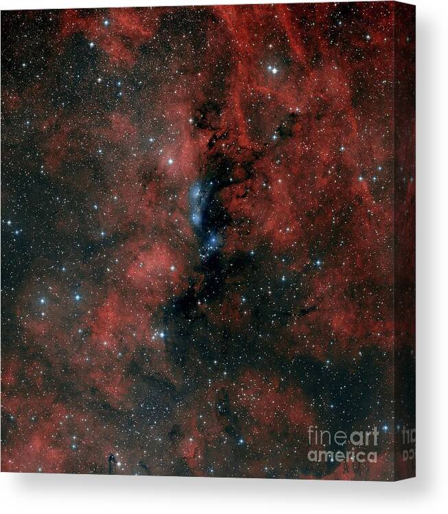 Astronomy Canvas Print featuring the photograph Ngc 6914 Nebulae by Davide De Martin/science Photo Library