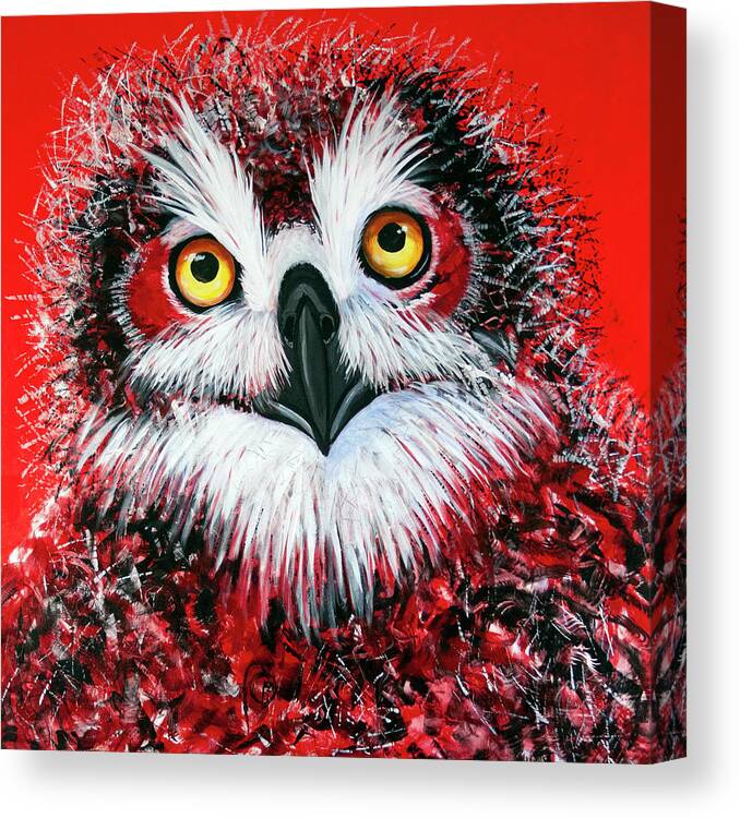 Owl Canvas Print featuring the painting OL Owlet by Laurel Bahe