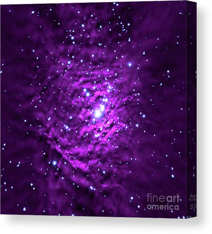 Orion Nebula Canvas Print featuring the photograph Orion Nebula by Nasa/cxc/sao/s.wolk Et Al/nsf/nrao/vla/science Photo Library