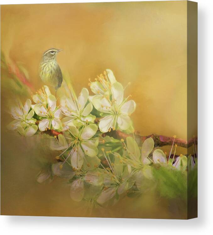 Palm Warbler Canvas Print featuring the photograph Palm Warbler Floral by HH Photography of Florida
