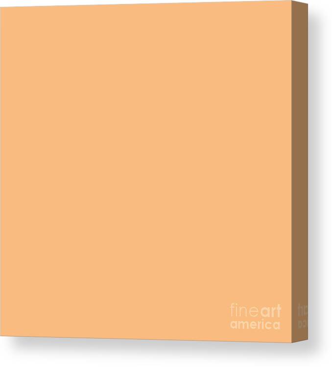 Peach Canvas Print featuring the digital art Peach Orange Solid Color by Delynn Addams for Interior Home Decor by Delynn Addams