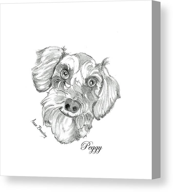Dog Canvas Print featuring the painting Peggy by Anne Beverley-Stamps
