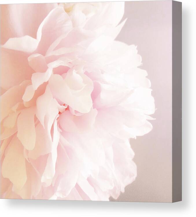 Flower Canvas Print featuring the mixed media Peony V by Erin Clark