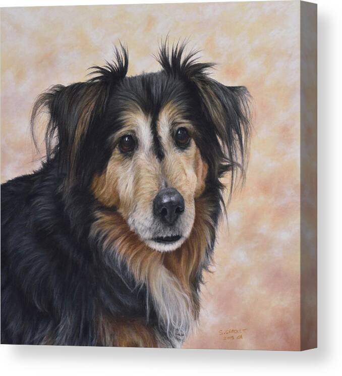 Pet Portrait Of Buster The Dog Canvas Print featuring the painting Pet Portrait Of Buster The Dog by Steve Crockett