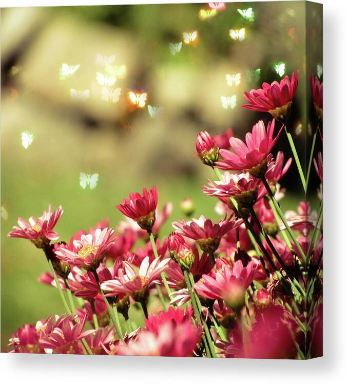 Insect Canvas Print featuring the photograph Pink Flower by Roxirosita
