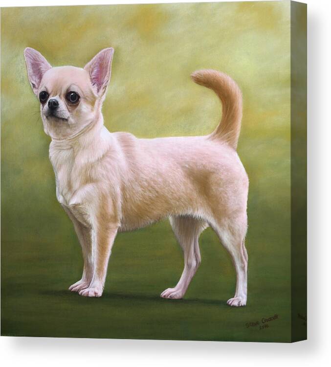 Portrait Of A Chihuahua Canvas Print featuring the painting Portrait Of A Chihuahua by Steve Crockett
