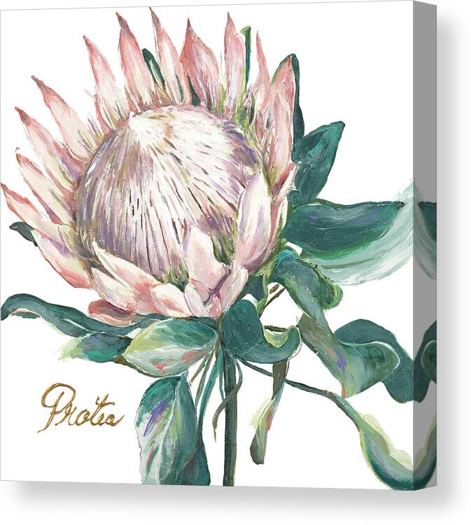 Protea Canvas Print featuring the mixed media Protea I by Patricia Pinto