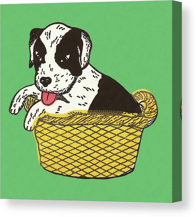Animal Canvas Print featuring the drawing Puppy in a Basket by CSA Images