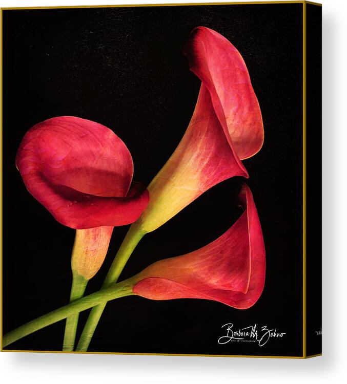 Flowers Canvas Print featuring the photograph Red Lilies Trio by Barbara Zahno