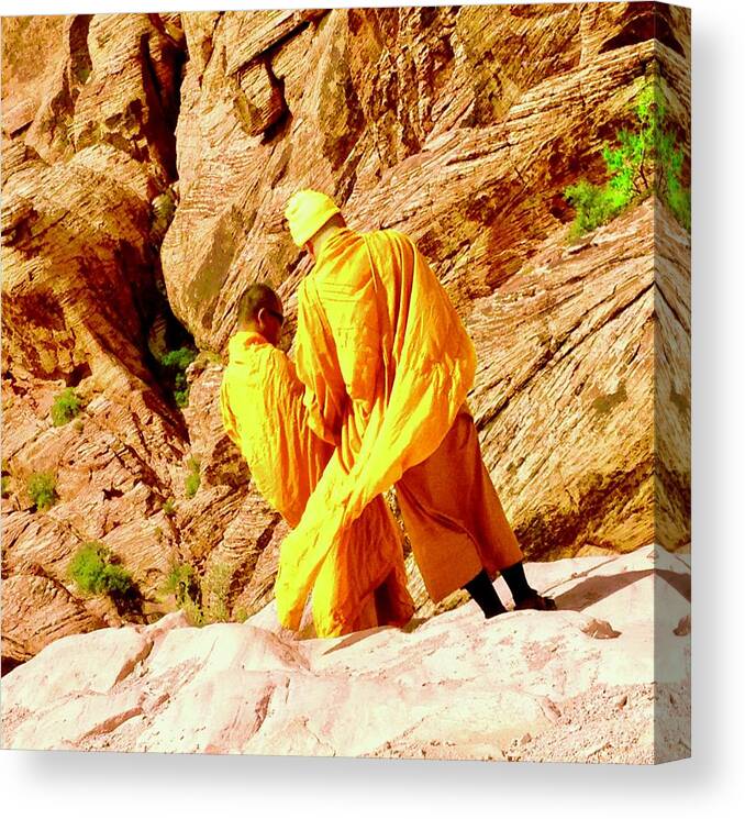 Photo Stream Canvas Print featuring the photograph Red Rock Canyon Visitors by Debra Grace Addison