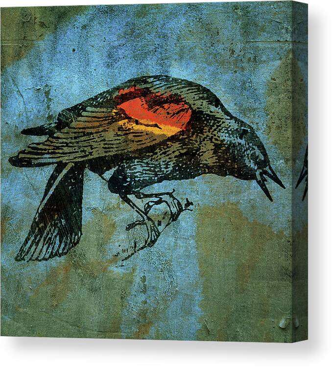 Redwing Blackbird Canvas Print featuring the digital art Redwing Blackbird by John W. Golden