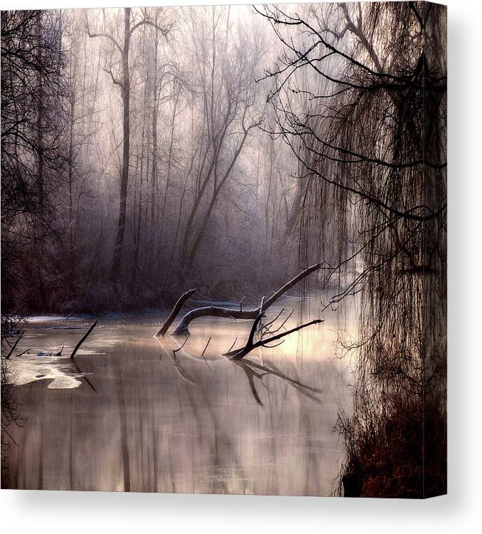 Outdoors Canvas Print featuring the photograph Reflected In The Swamps by Philippe Sainte-laudy Photography