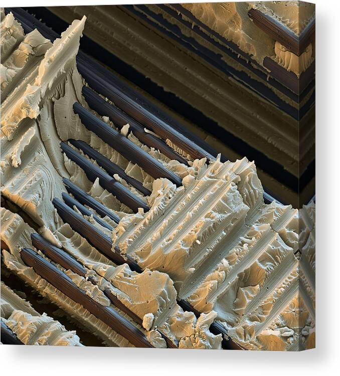 Carbon Fiber Canvas Print featuring the photograph Reinforced Plastic Sem by Meckes/ottawa