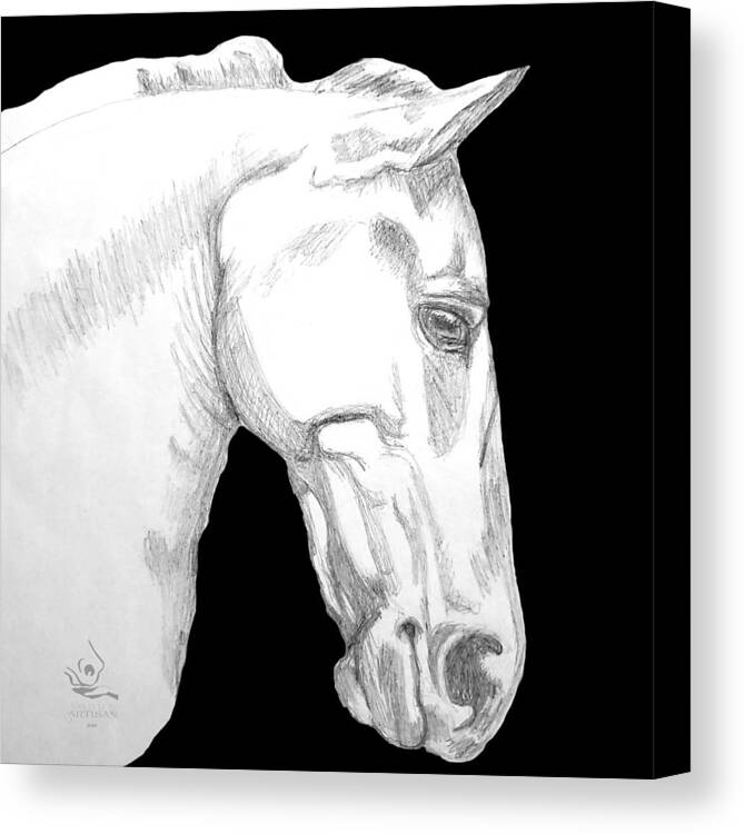 Roman Canvas Print featuring the drawing Roman Horse by Equus Artisan