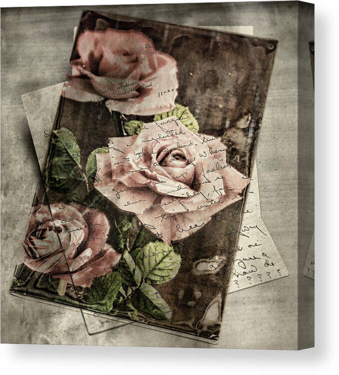 Rose Love Letters Canvas Print featuring the photograph Rose Love Letters by Sharon Popek