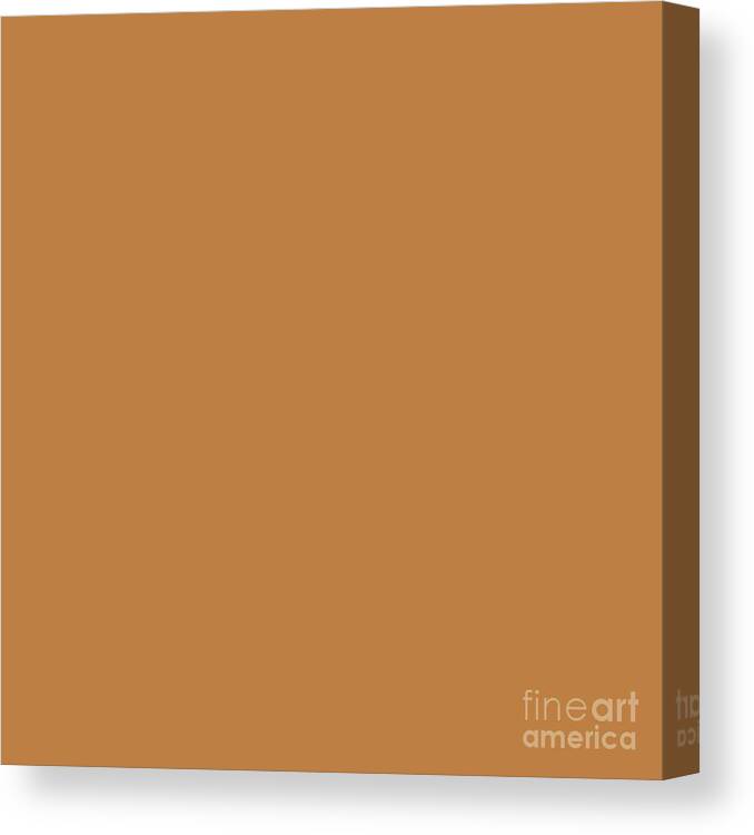 Rustic Canvas Print featuring the digital art Rustic Orange by Delynn Addams for Interior Home Decor by Delynn Addams