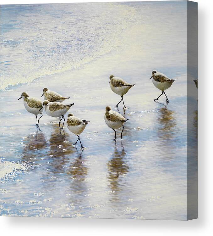 Sand Canvas Print featuring the painting Sand Dancers Square by Bruce Nawrocke